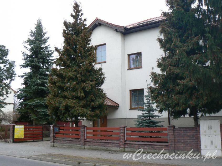 Centrum Wypoczynku Homestay *